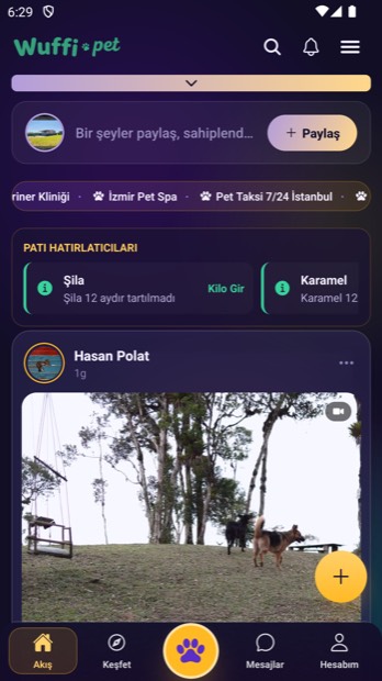 Sosyal akış ekranı
