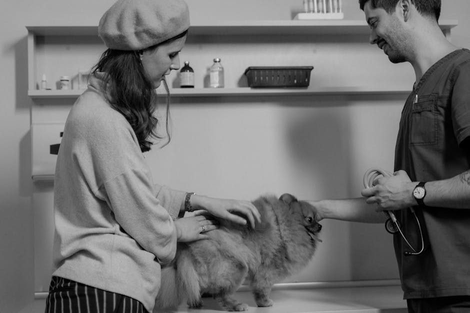 Köpek Nöbet Geçirme: Acil 8 Adımlı Müdahale