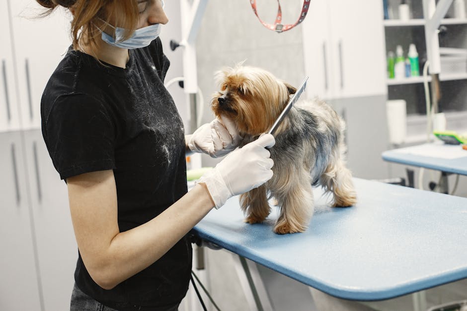 Yenidoğan Köpek Bakımı: İlk 14 Gün İçin 11 Kural