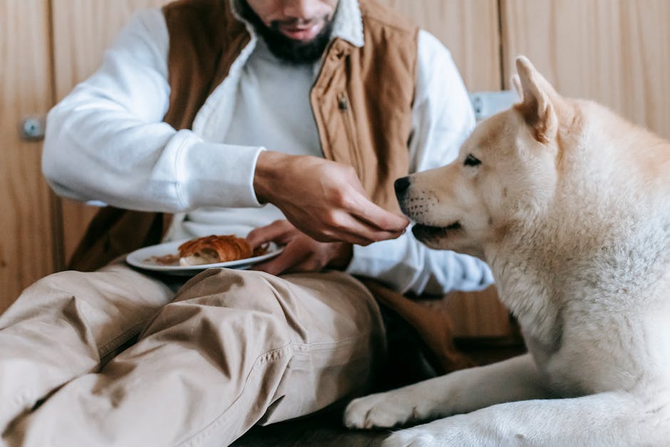 Köpeklere Verilebilecek Güvenli Meyveler: 12 Seçenek