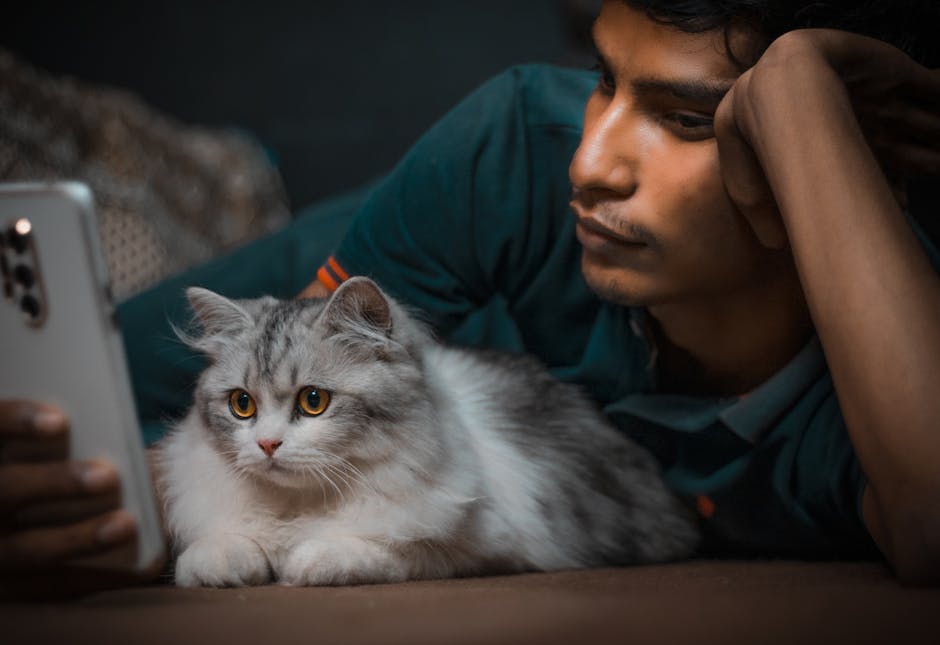 Pet İçin Yapay Zeka Asistanı: 2026’da Aktif Olanlar