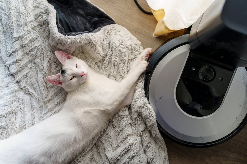 Metaverse Pet Mağaza Deneyimi: Wuffi Deneme