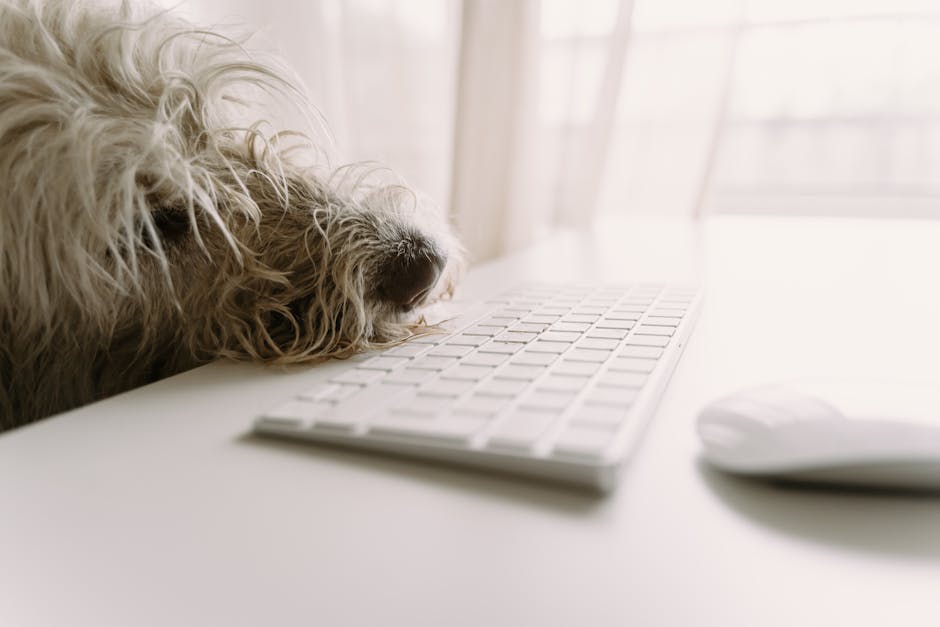 AI Yazılı Pet Blog İçeriğine Uzman Tepkisi: Etik mi?
