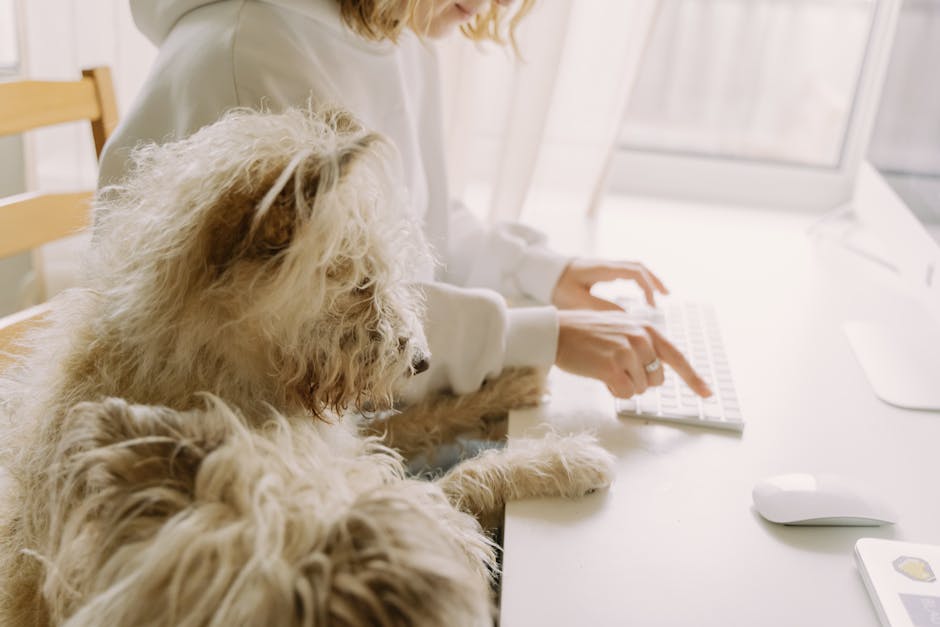 Pet İçin Yapay Zeka Asistanı: 2026’da Aktif Olanlar