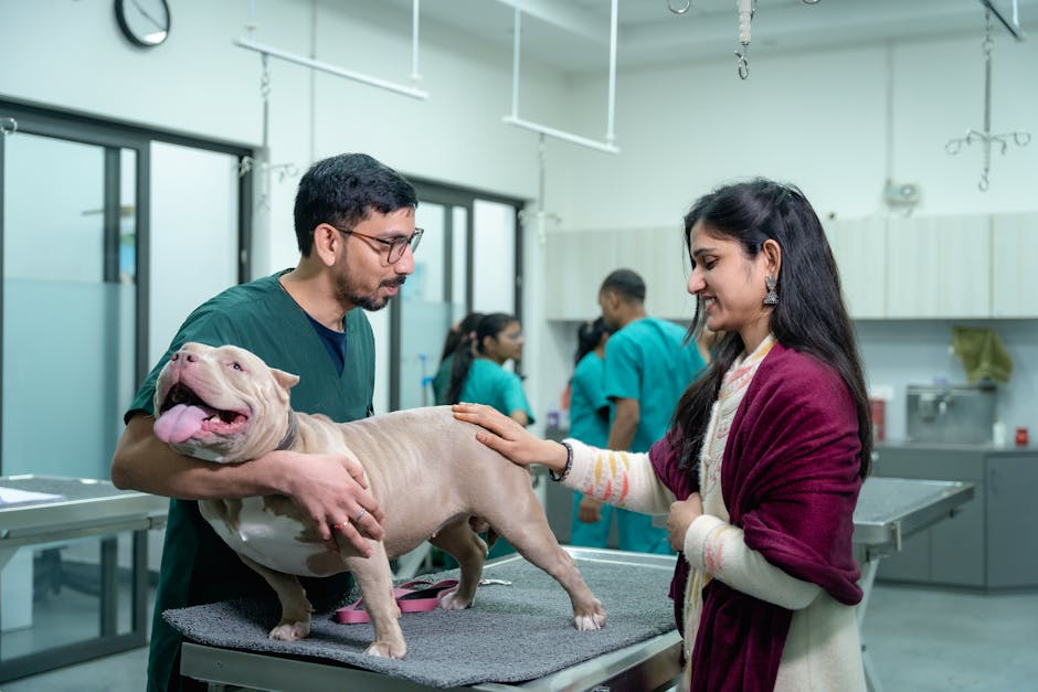 Köpek Koku Alma Hassasiyeti: 10 Şaşırtıcı Rekor