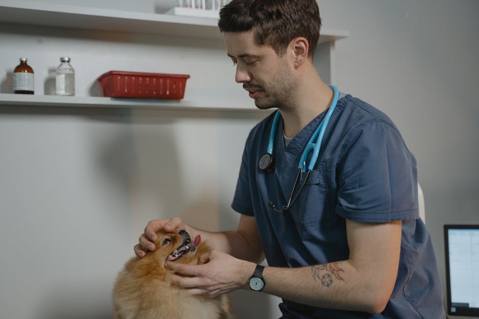 Pet Mikrobiyomu: 21. Yüzyılın Yeni Keşfi