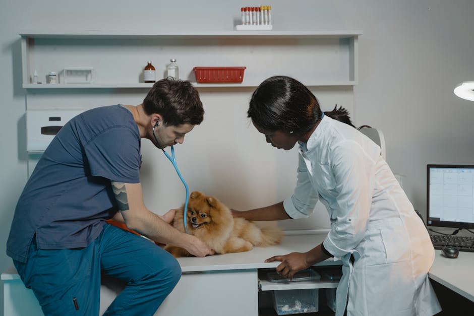 Pet Mikrobiyomu: 21. Yüzyılın Yeni Keşfi