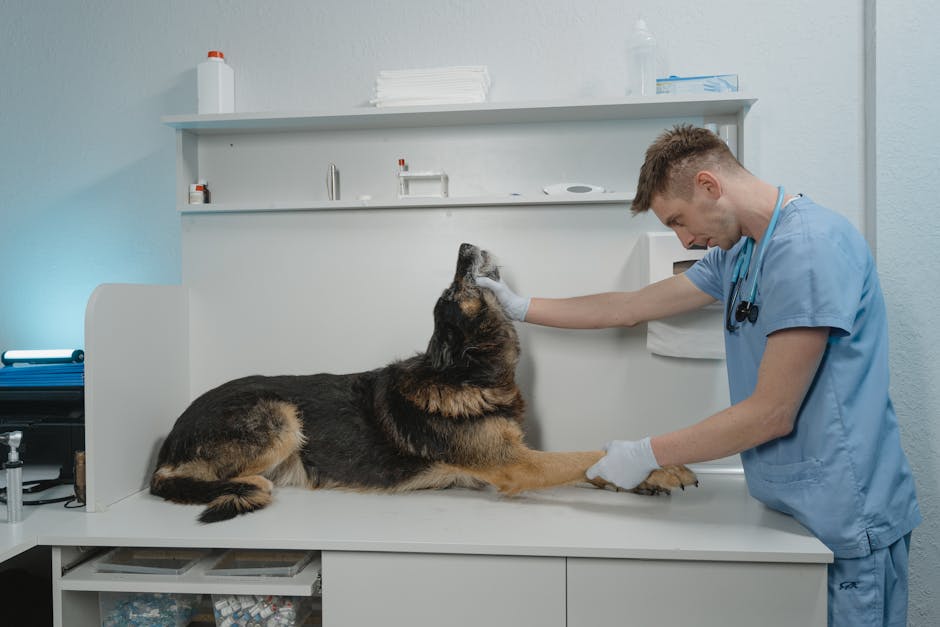 Kanserden Kurtulan Pet Vakaları: 7 İlham Verici Hikaye