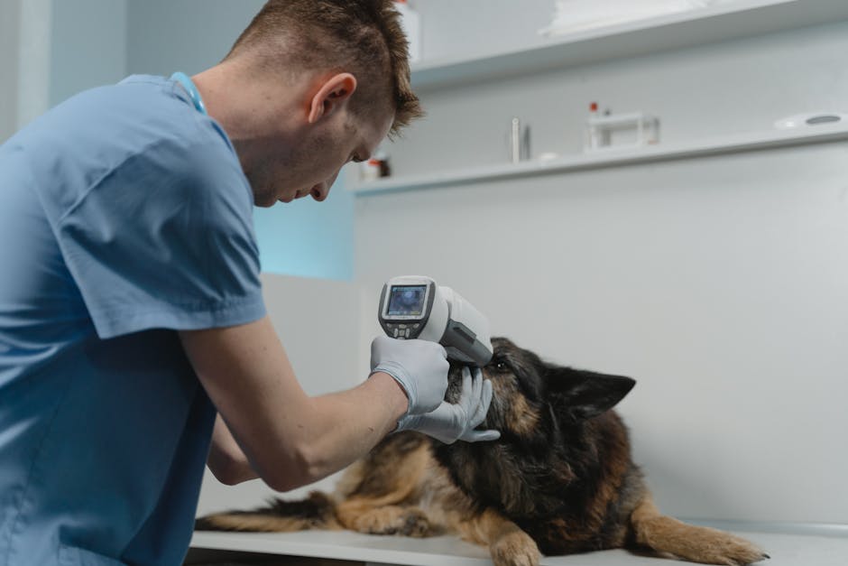 Pet Genetik Testi 2026: Hangi Test, Ne İşe Yarar?