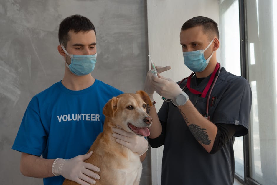 Köpek Koku Alma Hassasiyeti: 10 Şaşırtıcı Rekor