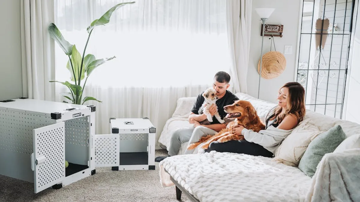 Evdeki Pet Sayısı İlişkilerinizi Nasıl Etkiler? Bilimin Şaşırtıcı Cevabı