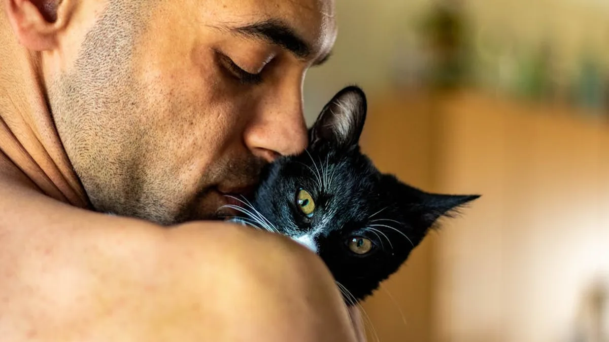 Kedinizin Size Kafa Vurması: 7 Gizli Anlamı