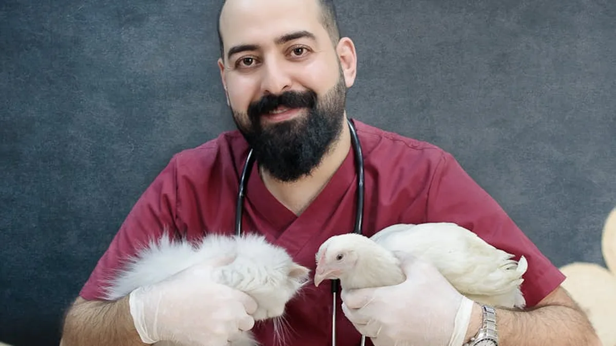Ankara’da Veteriner Rehberi 2026: 15 Klinik İncelemesi
