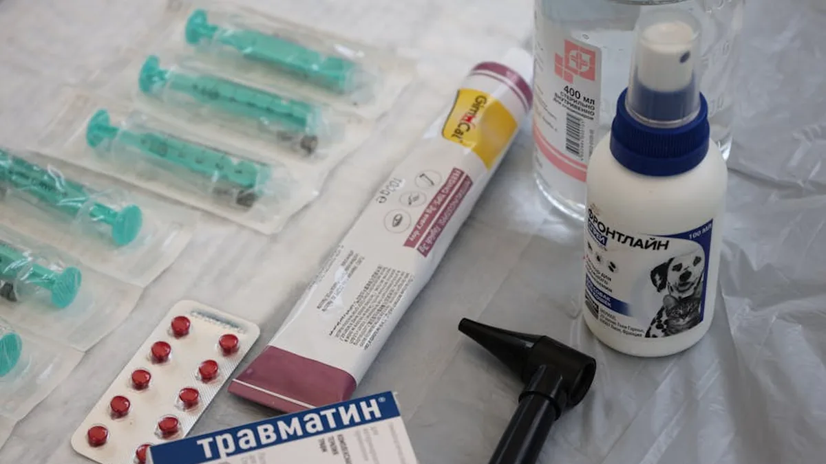 Pet Mikrobiyomu: 21. Yüzyılın Yeni Keşfi