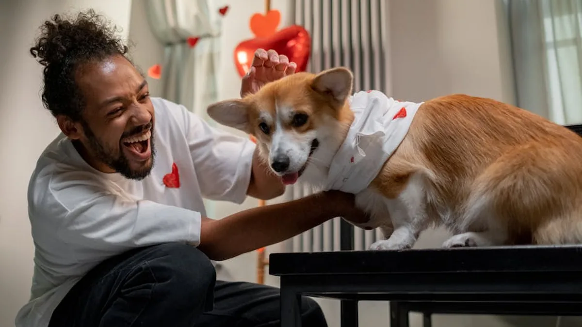 Köpek ve İnsan Kalbi Arasındaki Bağ: Kalp Atış Senkronizasyonu