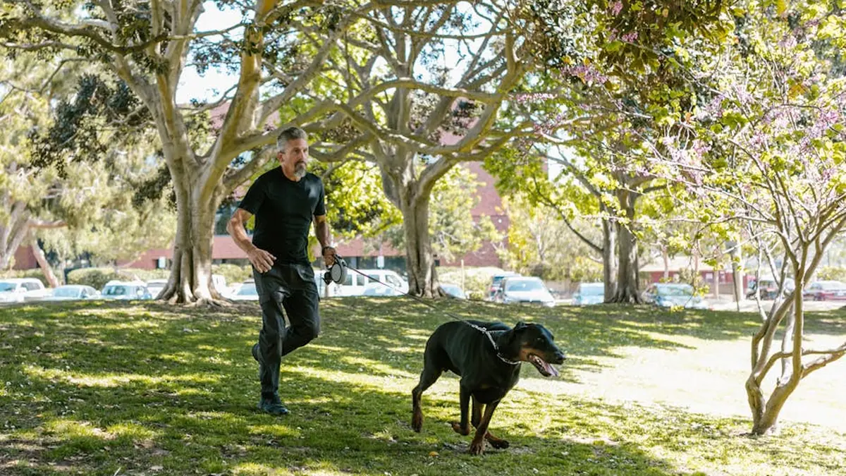 Köpekle Zayıflama Programı: Hem Sahibi Hem Pet İçin