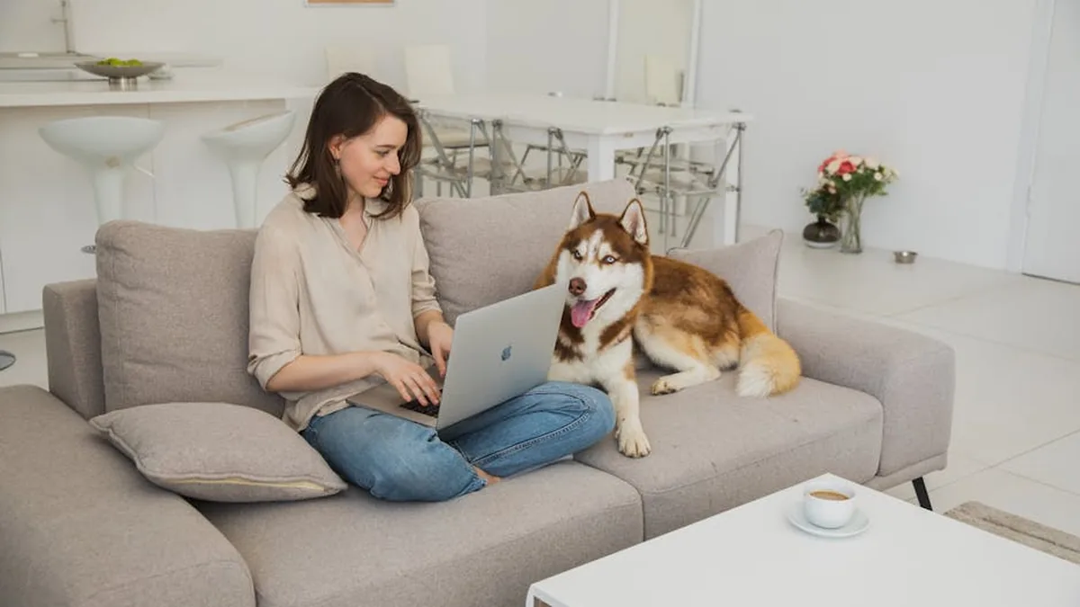 Pet’in Küçük Dijital Asistanına Eğitimi: Smart Home Etkileşimi