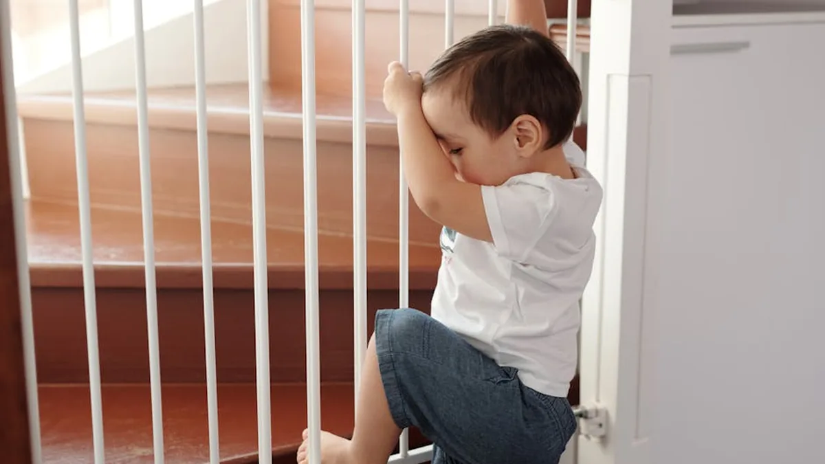 Evden Önce Pet-Proof Yapma: 30 Maddelik Rehber