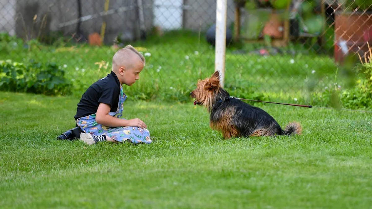 Köpeğe Konuşma Cihazı (FluentPet) Deneyimi: 90 Günde Ne Oldu?