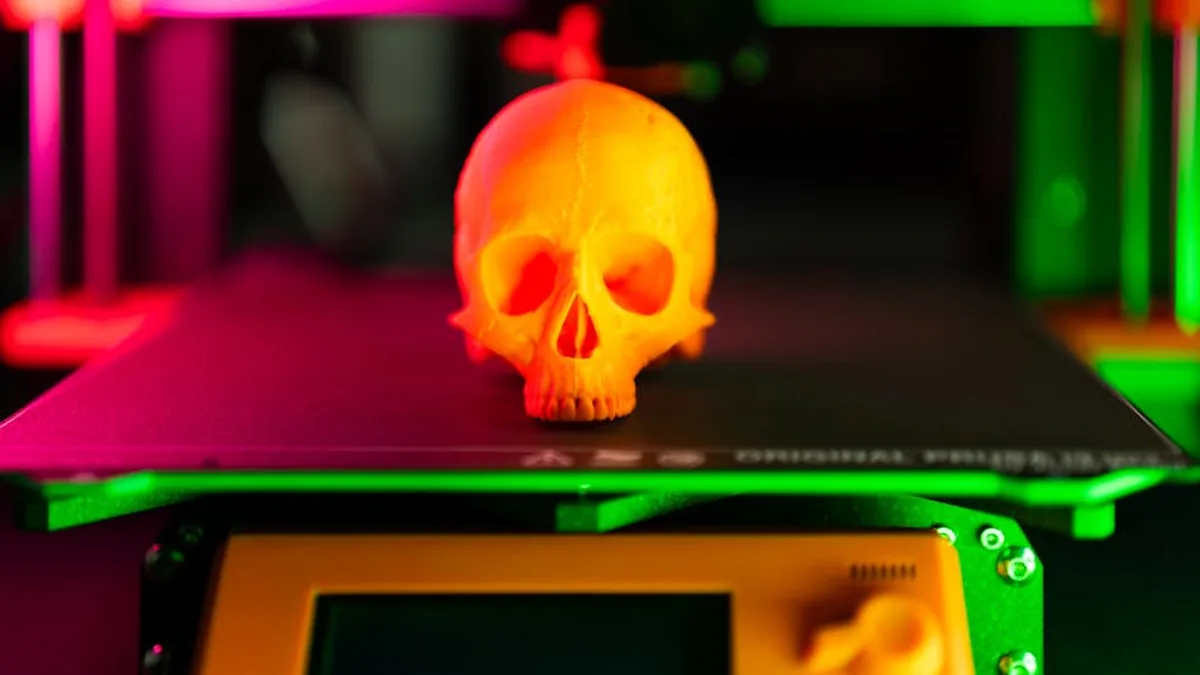 3D Yazıcı ile Pet Oyuncak Tasarımı: 10 Ücretsiz Model